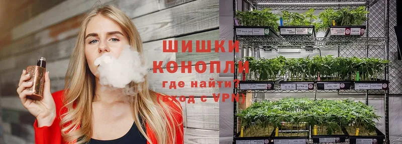 МАРИХУАНА THC 21%  Александровск-Сахалинский 